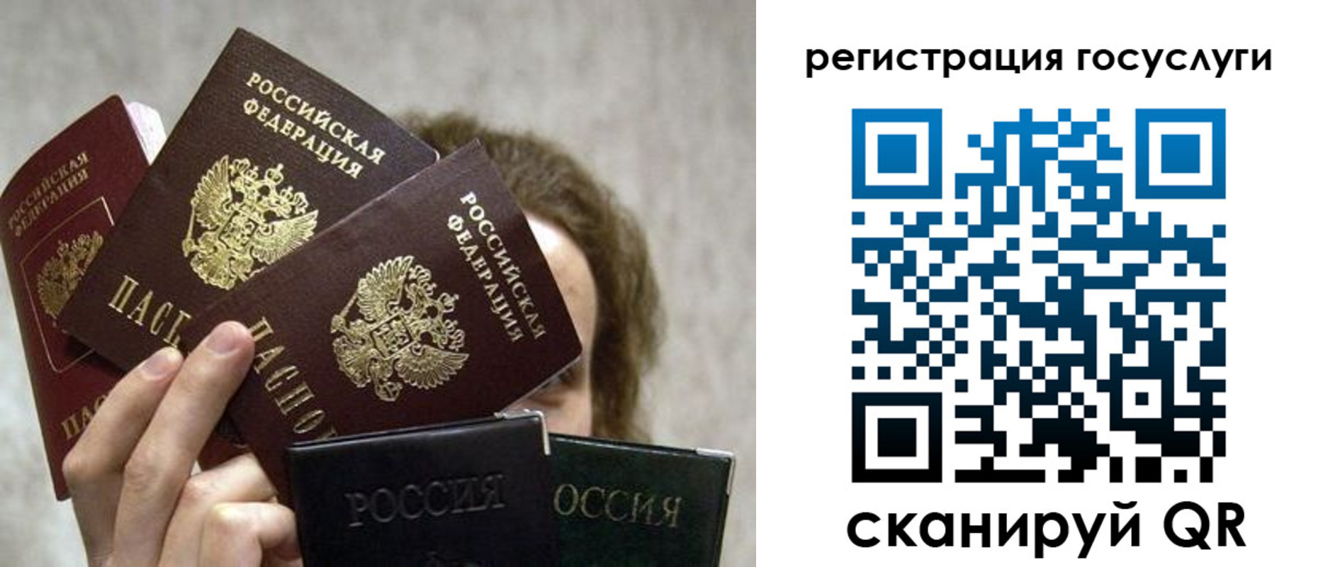временная регистрация поиск в Чапаевске